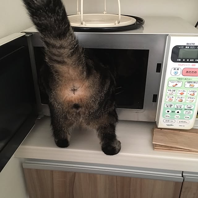 mikomaruさんの実例写真