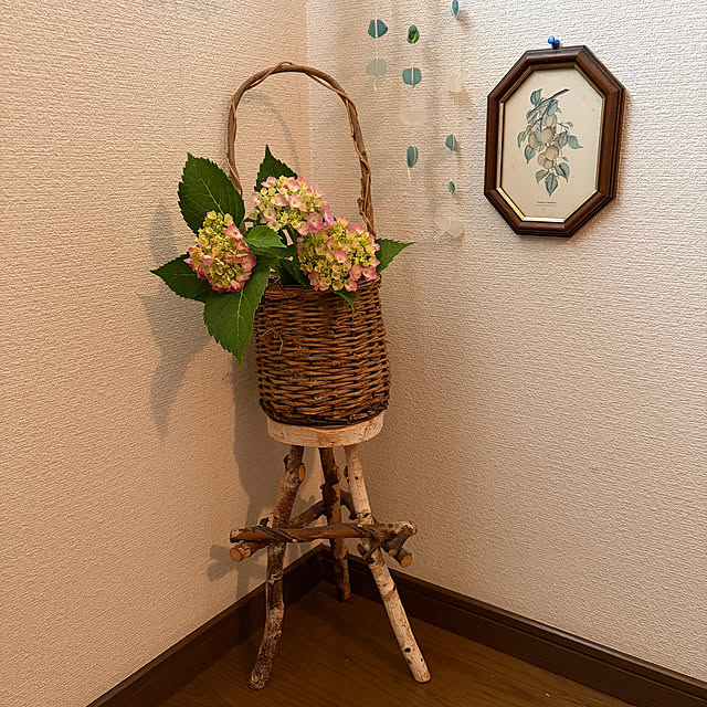 ritsukoさんの部屋