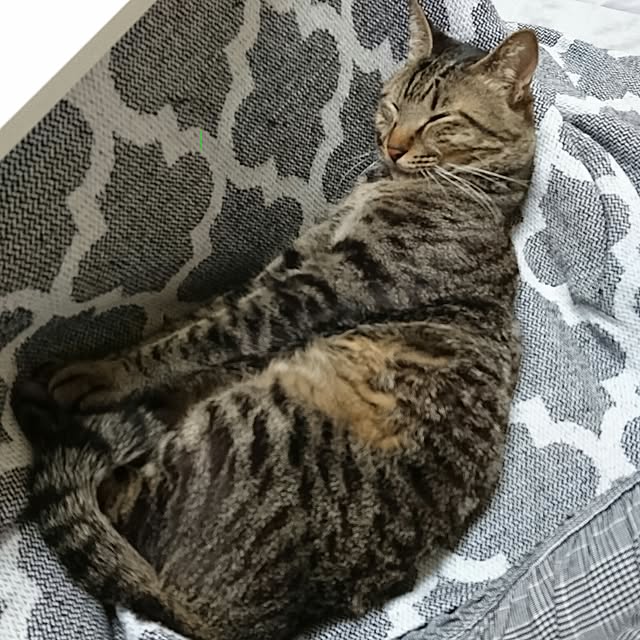 taleo07さんの実例写真