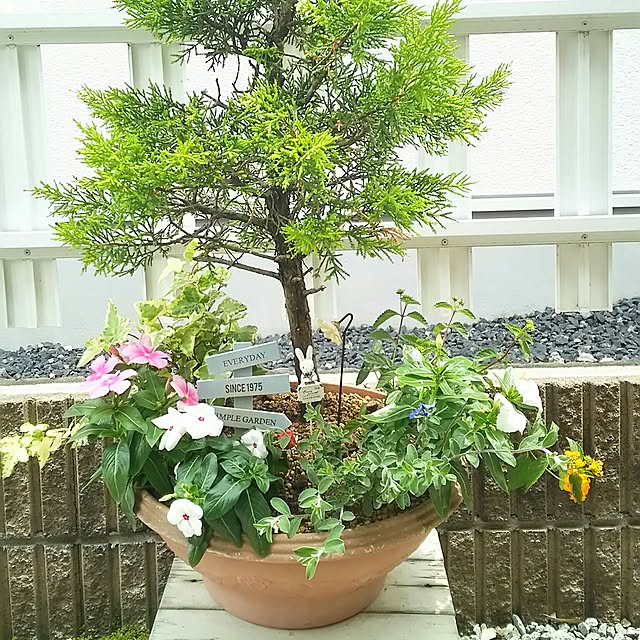 oliveさんの実例写真