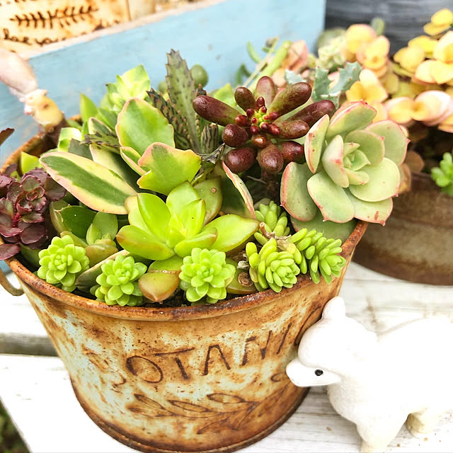 **yuu**さんの実例写真