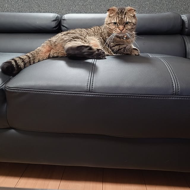 noguriさんの部屋