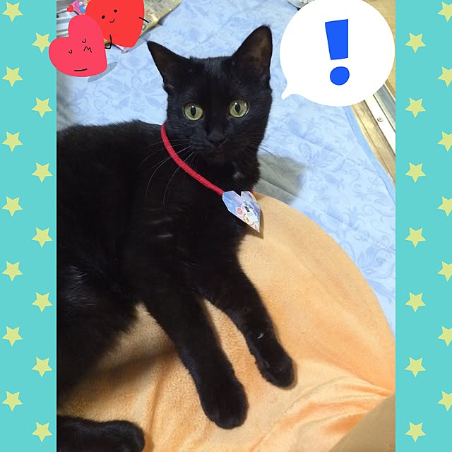 CHIROLさんの実例写真