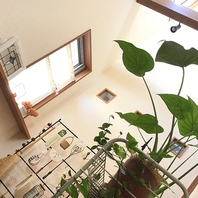 mippoko345さんの実例写真