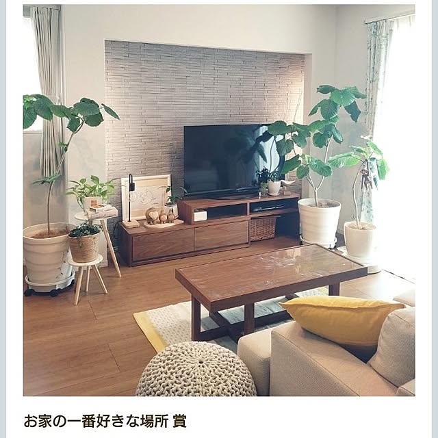 tan5さんの実例写真