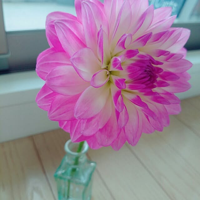 keiさんの実例写真