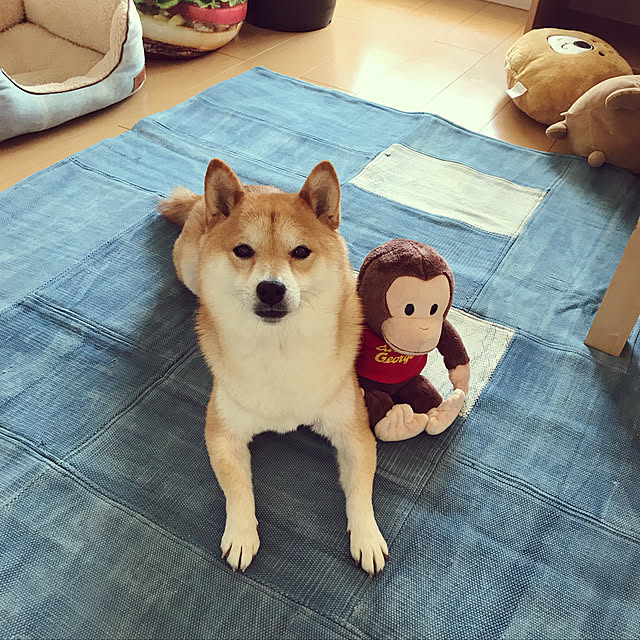 kona867さんの実例写真
