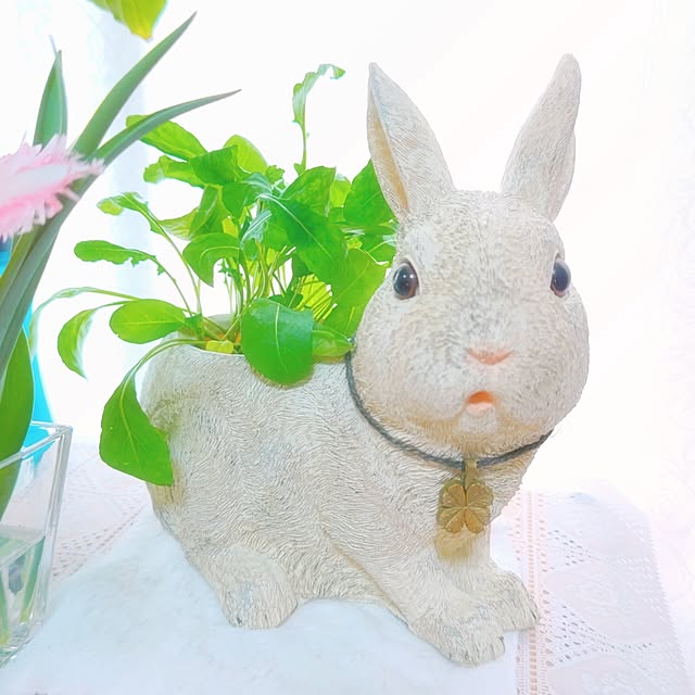 mariaさんの実例写真