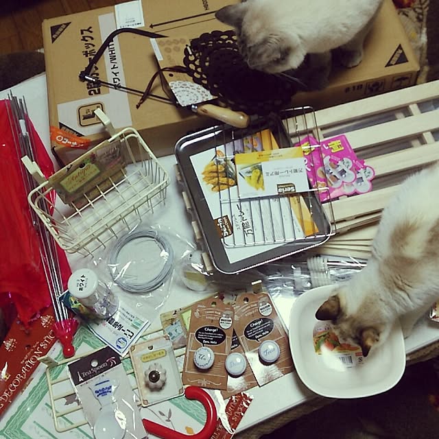 mzk5678910さんの実例写真