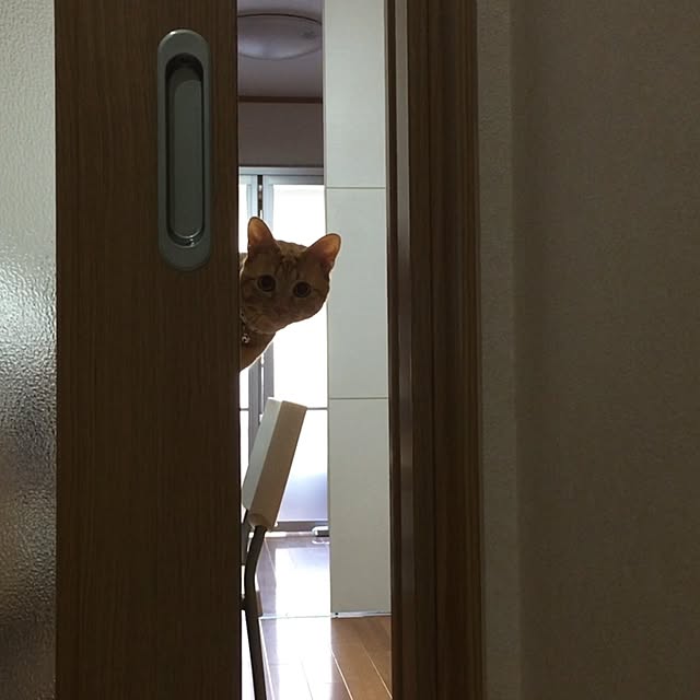 hiro3さんの実例写真
