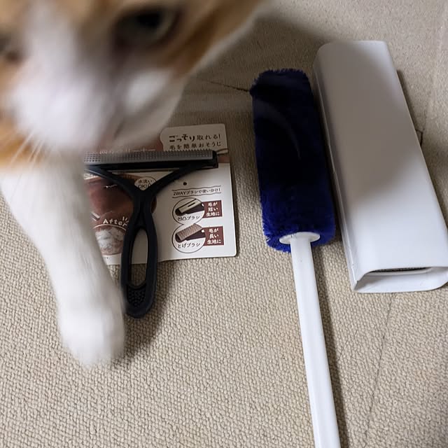 mori_6_12さんの部屋