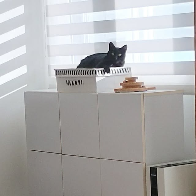 sakuraさんの部屋