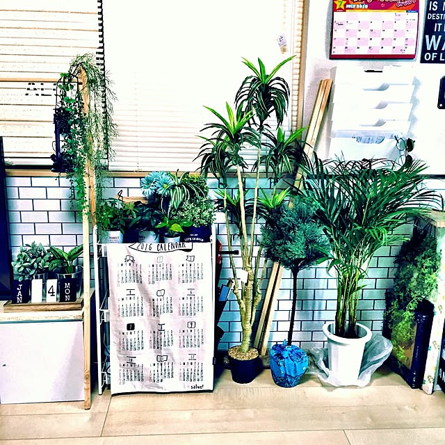 ニトリ 【観葉植物 造花】ドラセナリンデープル 160cm 鉢植 ニトリ 【観葉植物 造花】ドラセナリンデープル 160cm 鉢植