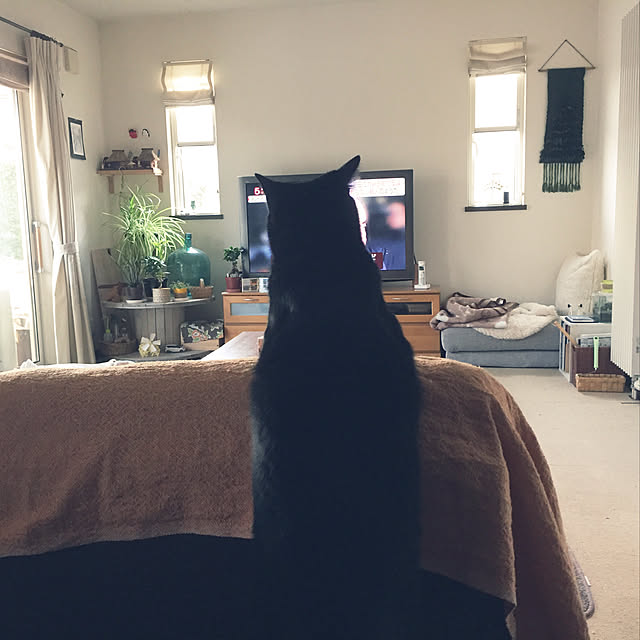 nanaさんの実例写真