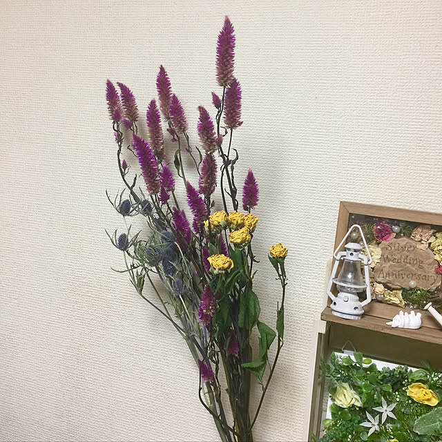 kojiro120513さんの実例写真