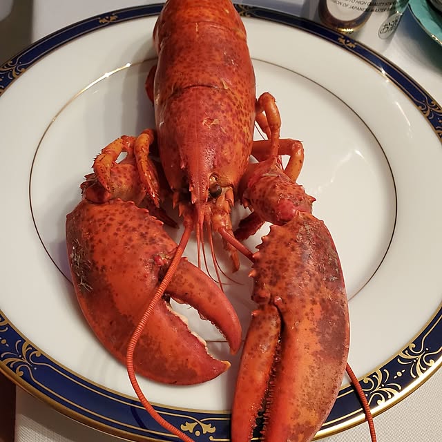 muku+maroさんの部屋