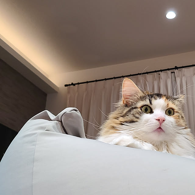 akiko6193さんの実例写真