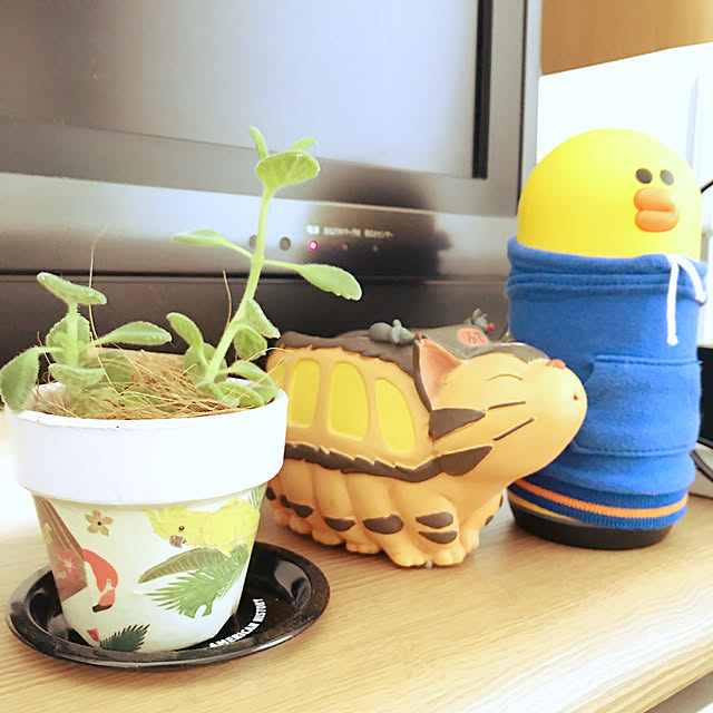 eriさんの実例写真