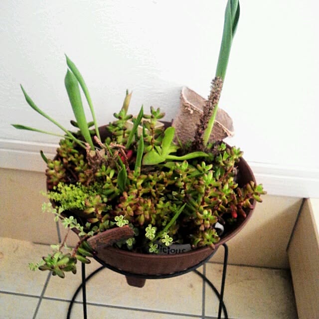 yu-iさんの実例写真