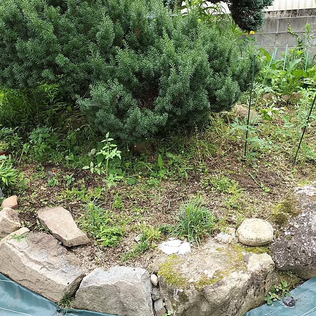sumimarumiさんの部屋