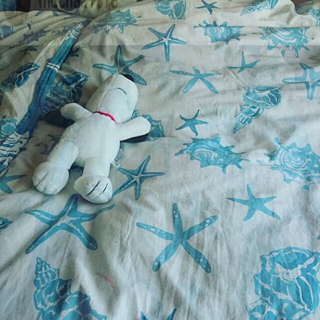 Tomokaさんの実例写真