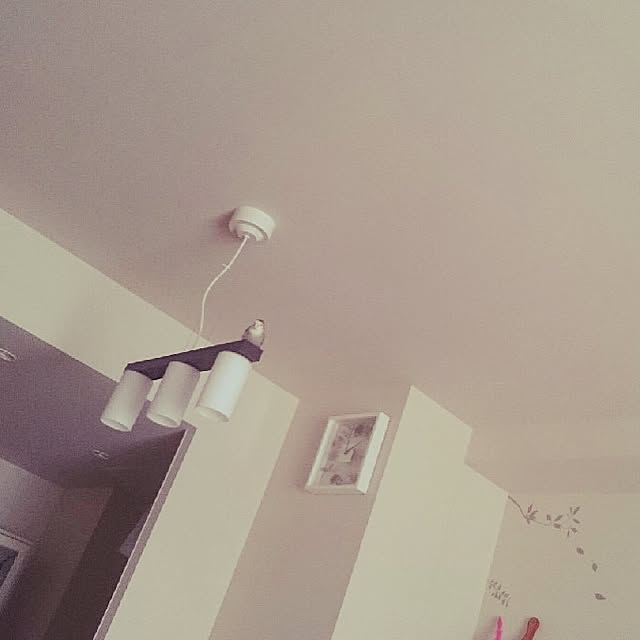 Chicoさんの実例写真