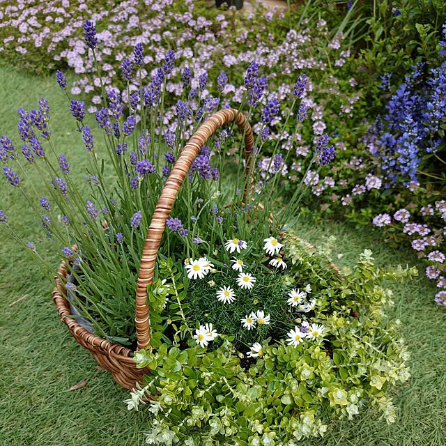 coconathuさんの部屋