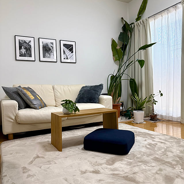 sakura-51さんの実例写真