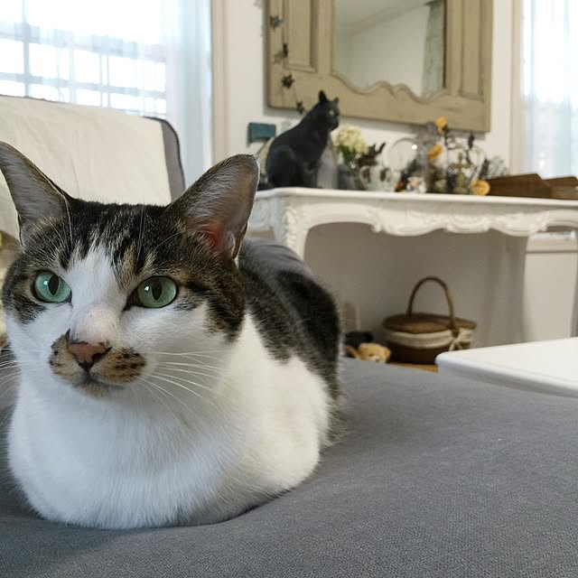 yuchiさんの実例写真