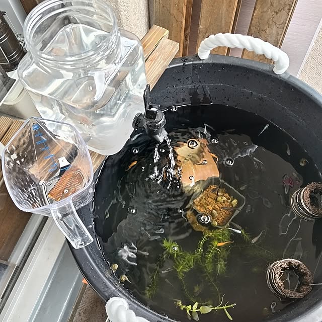 mi-saさんの部屋
