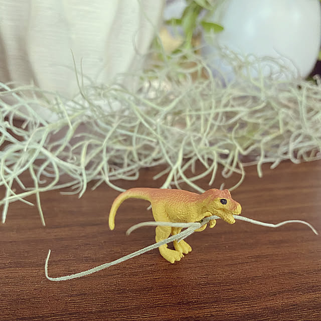 m_k_Rさんの実例写真