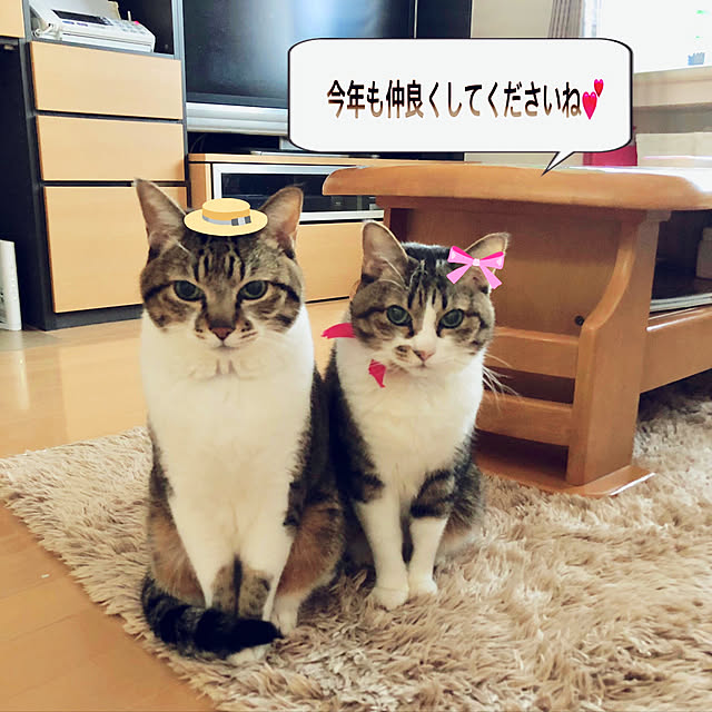 nnmmさんの実例写真