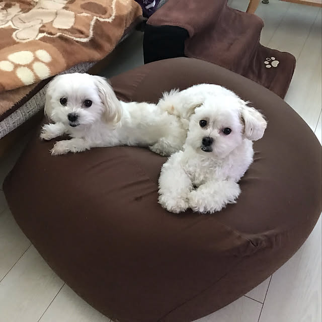 maru-cheeさんの実例写真