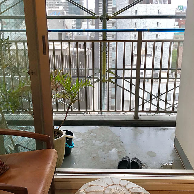 mochi2usagiさんの部屋