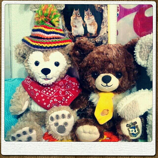 chipinoさんの実例写真