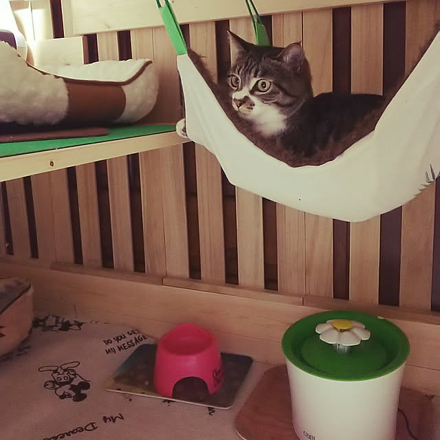 Mikiさんの実例写真
