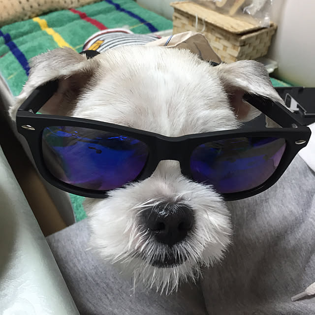 emiさんの実例写真