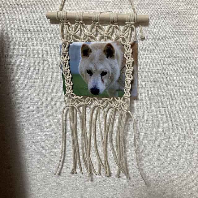 yumomitoさんの実例写真