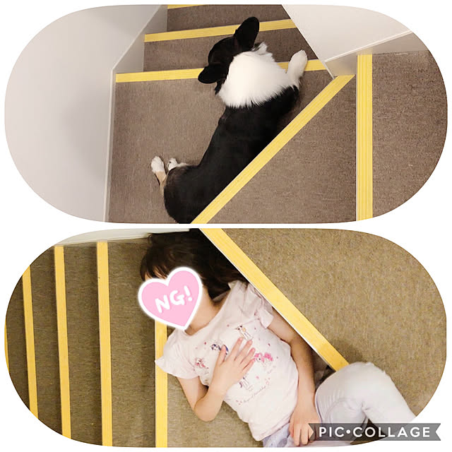 Ruiさんの実例写真