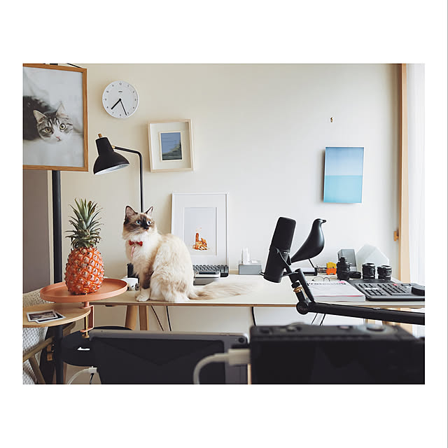 kotaroさんの実例写真
