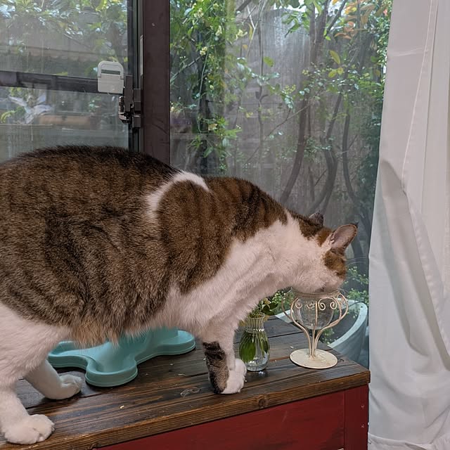 mori_6_12さんの部屋