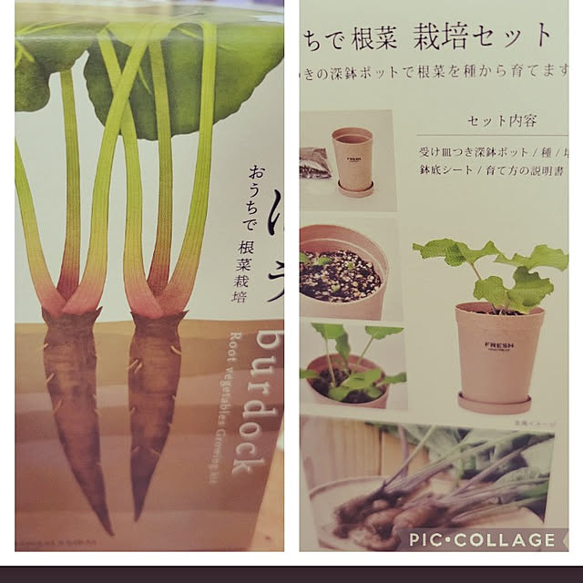 ANTENNAさんの実例写真