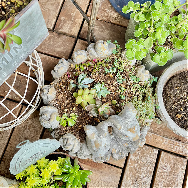 naokoさんの部屋