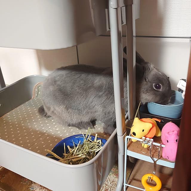 kirariさんの部屋