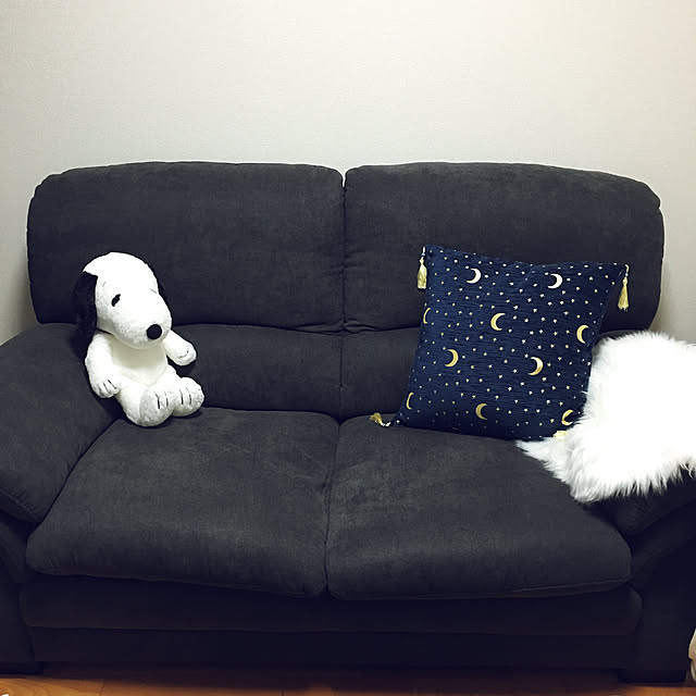 Rinneさんの実例写真