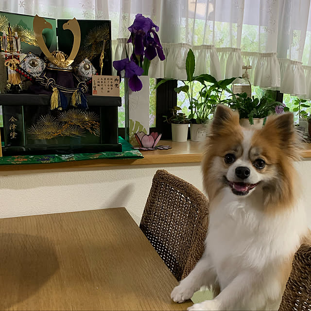 sakulaさんの実例写真