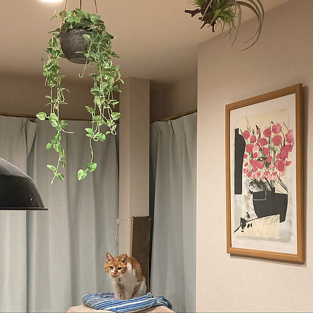 chakuron.iさんの実例写真