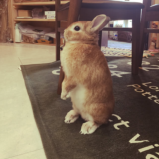 Yasuyukiさんの実例写真