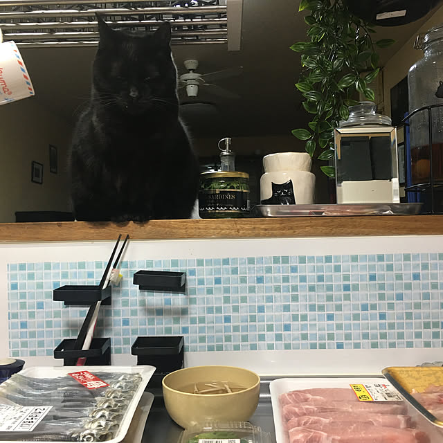 kenoさんの実例写真