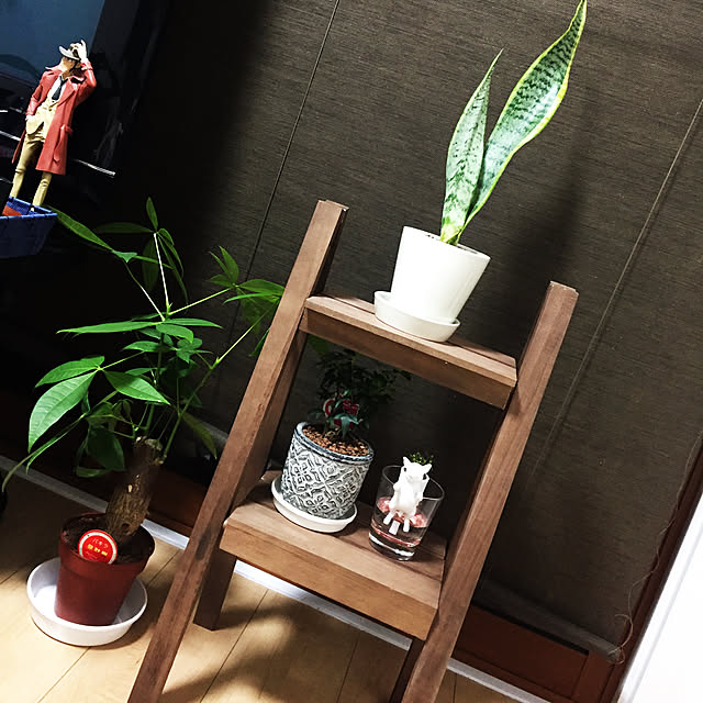 kaori0331さんの実例写真